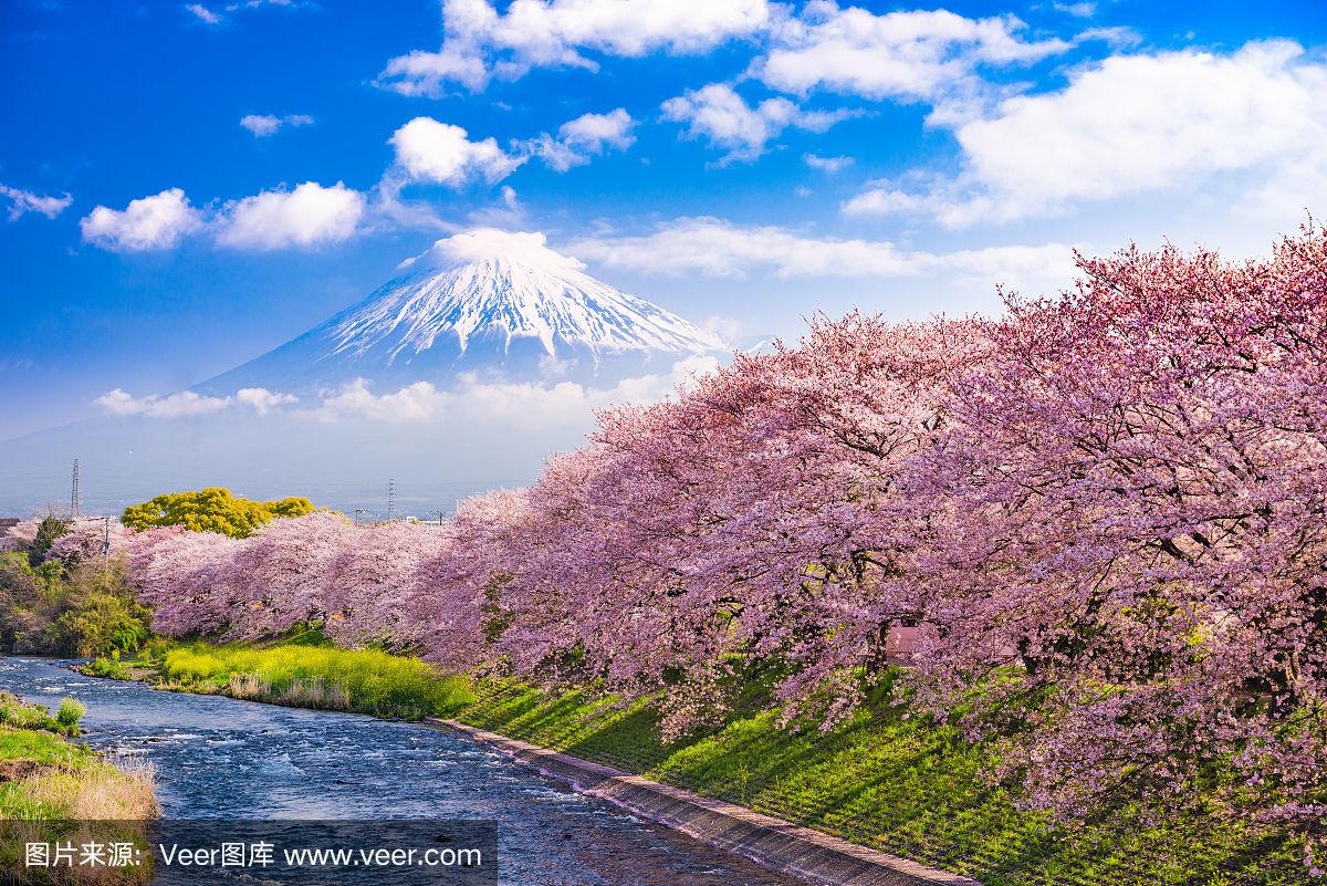 车险理赔流程是怎样的？